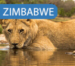 ZIMBWA